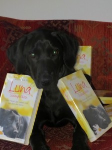 Labrador Miss Lomax der Autorin Michaela Seul mit dem Buch Luna Seelengefährtin, flipper-privat.de